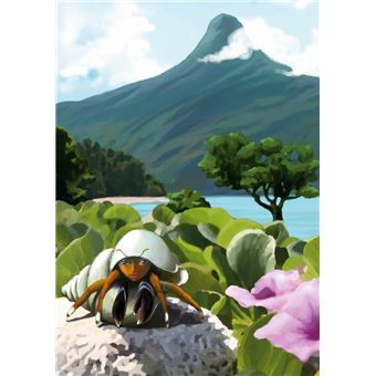 Mes contes de Mayotte