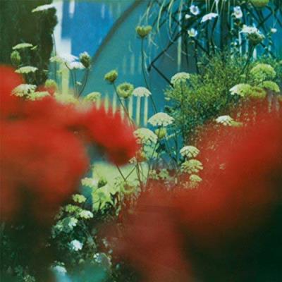 Haze/gatefold vert