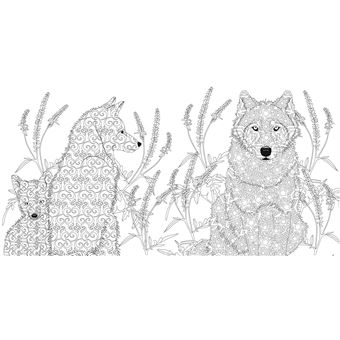 Animaux sauvages - Dessins à colorier