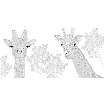 Animaux sauvages - Dessins à colorier