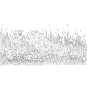 Animaux sauvages - Dessins à colorier