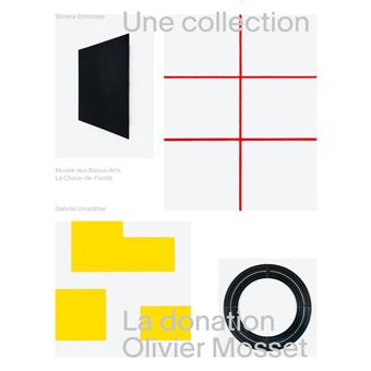 Une collection : Une donation Olivier Mosset