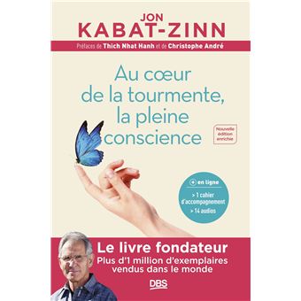 Au coeur de la tourmente la pleine conscience