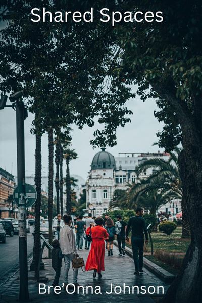 Shared Spaces - BreOnna Johnson - BreOnna Johnson - ebook (ePub) - Livre