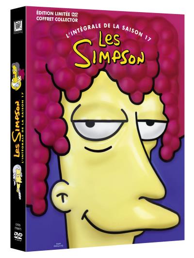 Cofrret intégrale de la Saison 17 DVD