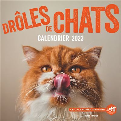 Calendrier Mural - Drôles de chats 2023