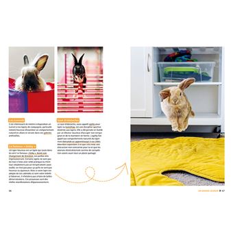 Pourquoi mon lapin fait-il ça ?