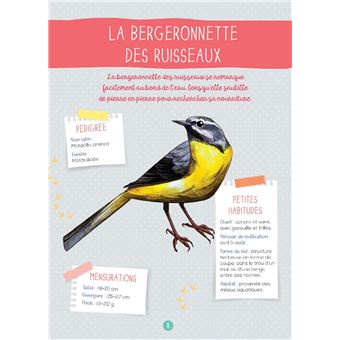 J'observe les oiseaux