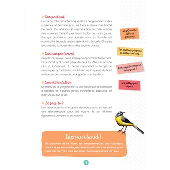J'observe les oiseaux