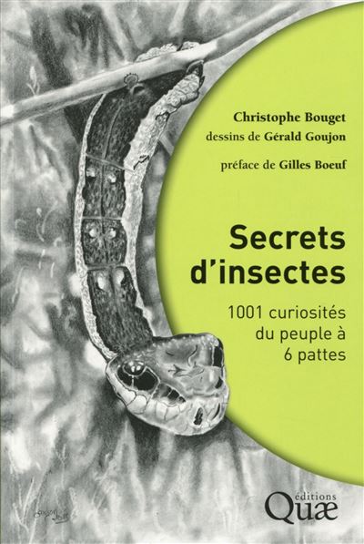Secrets d'insectes