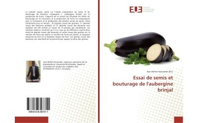 Essai de semis et bouturage de l'aubergine brinjal