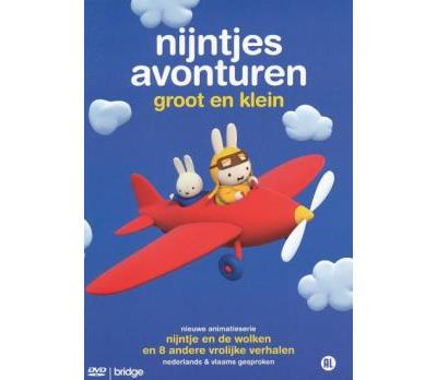 NIJNTJE - CGI D2-NL