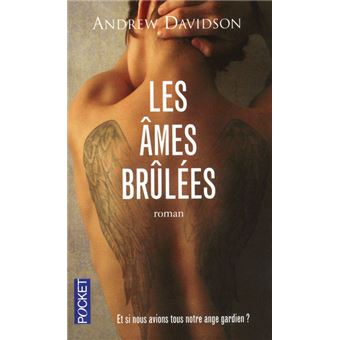 Andrew DAVIDSON (Canada) Les-ames-brulees