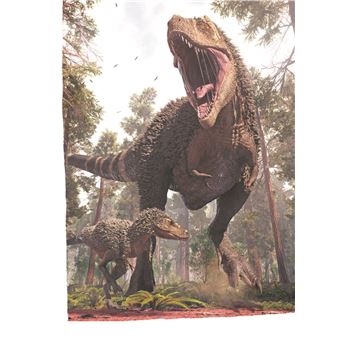 Défis nature   Premières lectures   Un nouveau champion