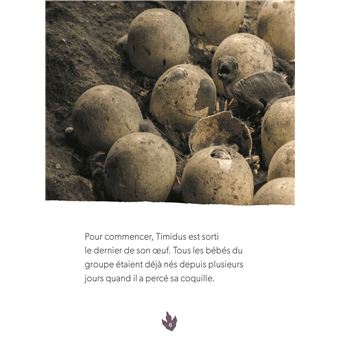 Défis nature   Premières lectures   Un nouveau champion