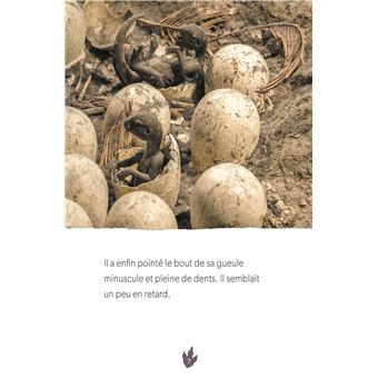 Défis nature   Premières lectures   Un nouveau champion