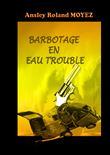 Barbotage en eau trouble