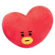 Coussin BTS Tata