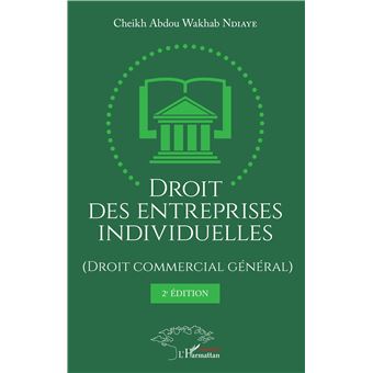 Droit des entreprises individuelles (Droit commercial général) 2ème édition