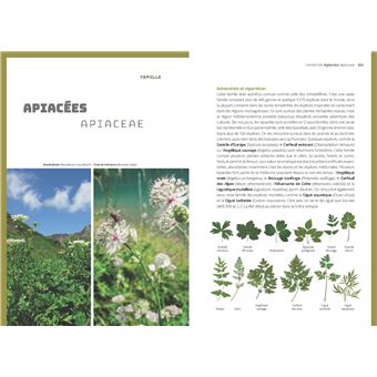 Les Bases de la botanique de terrain