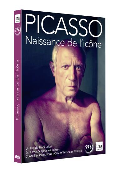 Picasso, naissance de l'icône DVD