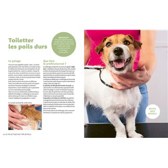 J'apprends à toiletter mon chien