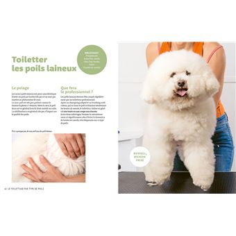 J'apprends à toiletter mon chien