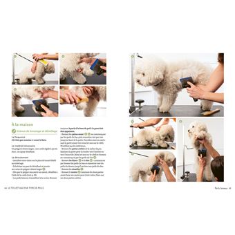 J'apprends à toiletter mon chien