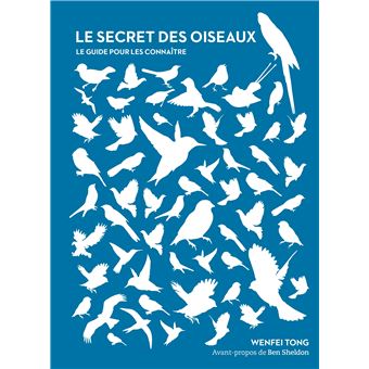 Le secret des oiseaux