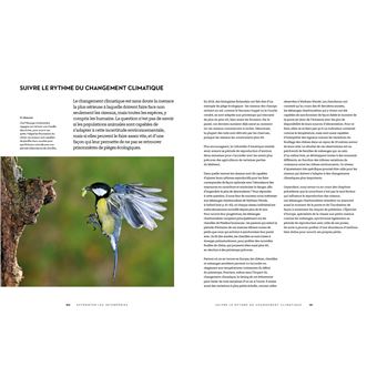 Le secret des oiseaux