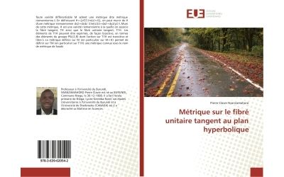 Métrique sur le fibré unitaire tangent au plan hyperbolique