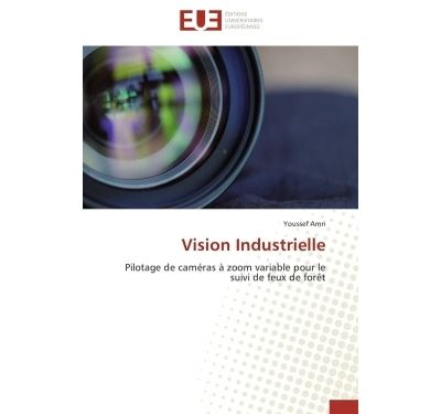 Vision industrielle - AMRI-Y - Universitaires Europeennes - broché - Essai
