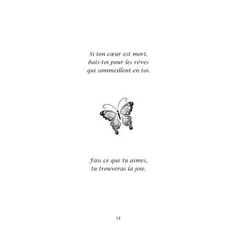 La lumière du papillon