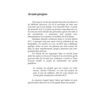 La lumière du papillon