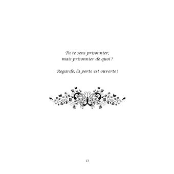 La lumière du papillon