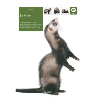Le Furet Broche Avanzi Achat Livre Fnac