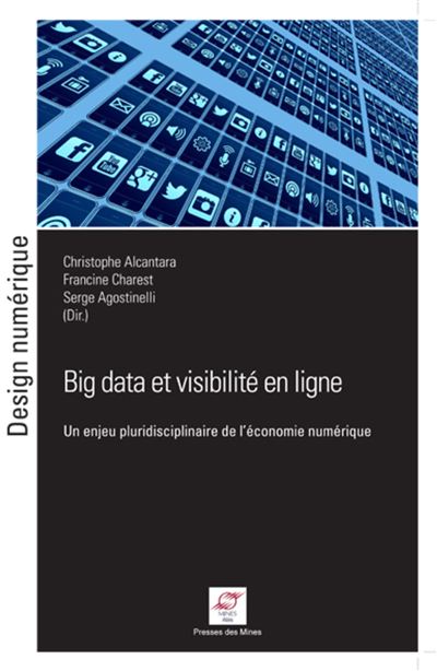 Big data et visibilité en ligne - Christophe Alcantara - broché
