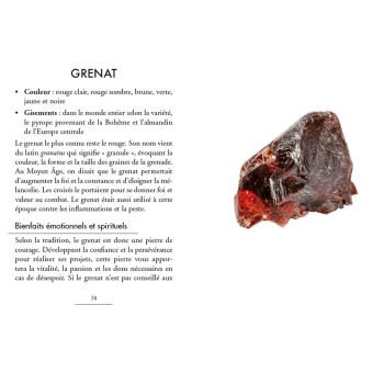 Le Petit Livre de - Pierres de soin