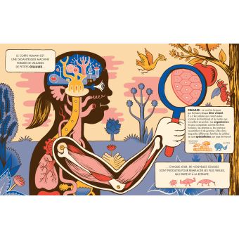 Bienvenue à Cerveauville