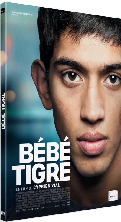 Bébé Tigre DVD