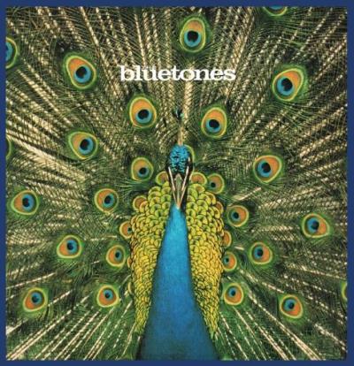 Expecting To Fly (Limited Ed. Heavyweight LP+MP3)