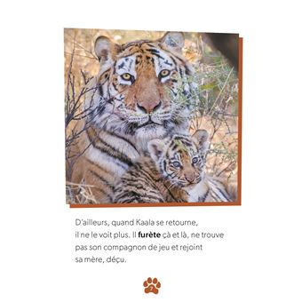Défis nature   Premières lectures   Un petit tigre audacieux