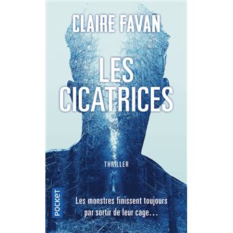Les Cicatrices - Dernier livre de Claire Favan - Précommande & date de ...