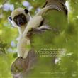 Madagascar, un paradis aux abois