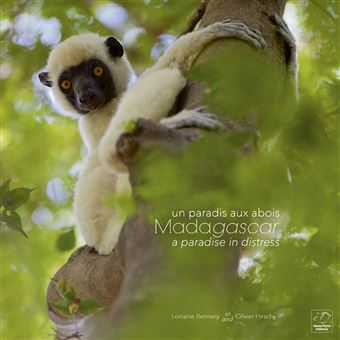 Madagascar, un paradis aux abois