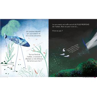 Coucou ! Sous l'océan