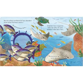 Coucou ! Sous l'océan