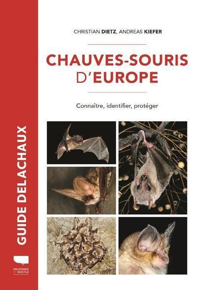 Protège livre – Les souris de Paris