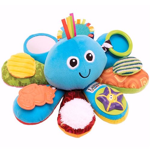 PIEUVRE MULTI ACTIVITES/SPEELINKTVIS