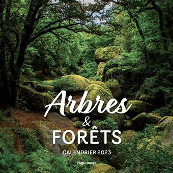 Calendrier de Forêt foncée 2023 FA001 - Cdiscount Beaux-Arts et Loisirs  créatifs